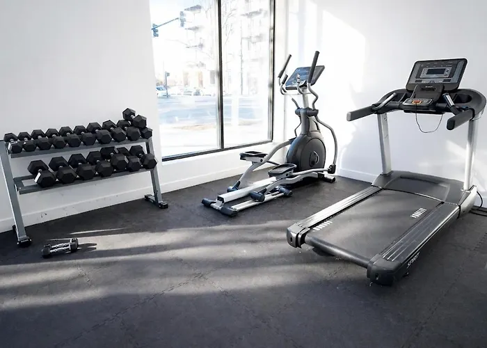4br South Loop With Rooftop And Gym Near Mccormick Place *